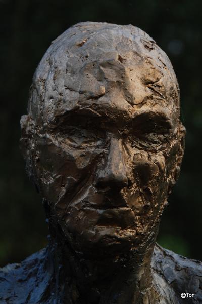 Galandart 2012-076.JPG - Golden boy
